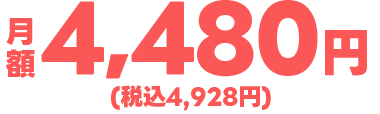 税別4,480円/月