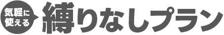 気軽に使える縛りなしプラン
