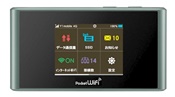 Pocket WiFi 305ZT