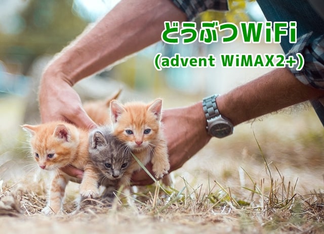 どうぶつWiFi（advent WiMAX2+） トップ画像