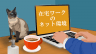 在宅ワークのネット環境がない！どのWi-Fiを選べばいい？