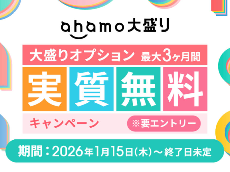 大盛りオプション最大3ヶ月間実質無料